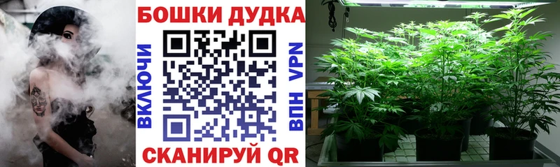mega tor  Алдан  Бошки марихуана LSD WEED 